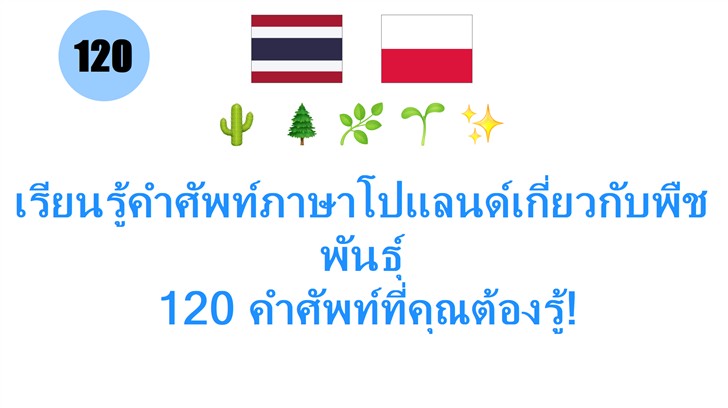 เรียนรู้คำศัพท์ภาษาโปแลนด์เกี่ยวกับพืชพันธุ์: 120 คำศัพท์ที่คุณต้องรู้!